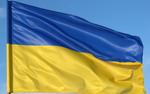 Депутат Госдумы Анатолий Вассерман: «Украина не доживет до принятия ее в ЕС»