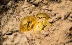 Энергоемкий майнинг биткоина вызывает экологические проблемы