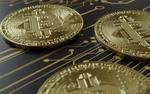Биткоин и крипты - лох-индикатор мира