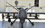 NI: Пентагон передумал передавать Киеву беспилотники из опасения, что Россия сможет получить доступ к секретным технологиям США