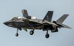 На двух из шести поставленных США Дании истребителей F-35 оказались неисправны механизмы катапульты