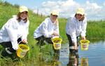 АНХК реализует экологический проект по выпуску пеляди в Братское водохранилище