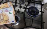 Депутат ГД Гладких о планах Болгарии возобновить переговоры с «Газпромом»: они поняли, что без нашего газа им эту зиму не прожить