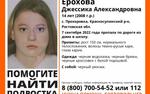 Пропавшую два дня назад в Ростовской области девочку Джессику Ерохову нашли мертвой, подозреваемый задержан