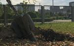 Минобороны: ВС РФ ликвидировали восемь пунктов управления ВСУ