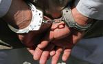 В Татарстане задержан курьер, который перевозил около 57 кг наркотиков