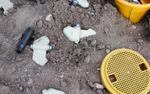 Губернатор Гладков попросил белгородцев не ходить в лес после подрыва на мине местного жителя