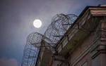 Правительство России внесло в Госдуму законопроект о введении института пробации