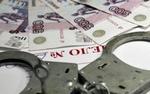 В Ростовской области выявили хищение бюджетных средств в крупном размере