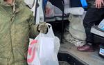 Потому что нельзя жить по-другому: сейчас