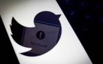 Роскомнадзор: оснований для разблокировки Twitter в РФ нет 