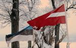 Историк Рекеда о понижении уровня дипотношений стран Балтии с РФ: «Это еще не финальный этап»