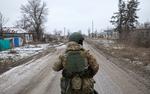 РИА Новости: турецкие добровольцы будут участвовать в СВО