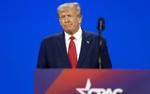 NBC: Трампу на следующей неделе могут предъявить обвинения в связи с выплатой денег порноактрисе Дэниелс за молчание об их романе