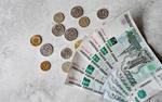 В Госдуме призвали вернуть пенсионный возраст и провести индексацию работающим пенсионерам  