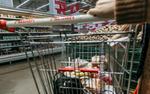 Минпромторг требует, чтобы торговые сети уведомляли о резком повышении цен производителями