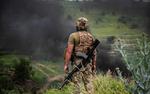 WSJ: в ВСУ недовольны тем, что танки передаются подразделениям без опыта 
