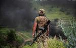 NYT: число погибших военных ВСУ непропорционально занятой у Работино площади
