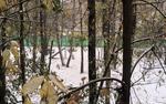 В Москве и области до утра субботы продлен «желтый» уровень погодной опасности