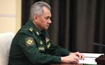 Шойгу доложил Путину о полном освобождении Марьинки в ДНР