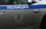 Полиция Петербурга раскрыла мошенничество с покупкой автомобиля за границей