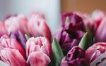 Психолог Коробова: При выборе цветов к 8 марта важно учитывать вкусы женщины