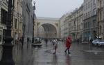Остролисты украсят Большую Морскую улицу в Петербурге