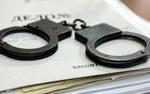 В Хабаровске задержали предпринимателей, занимавшихся незаконной миграцией