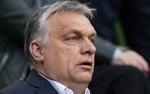 Сенатор Карасин: визит премьера Венгрии Орбана на Украину не прошел даром 