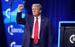 Fox News: Трамп 15 июля в 23:30 назовет имя кандидата на пост вице-президента 