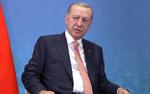 Anadolu: Эрдоган призовет мировое сообщество к противодействию Израилю с трибуны Генассамблеи ООН