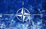 Новый генсек НАТО сосредоточится на помощи Украине