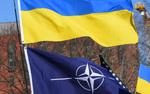 Блинкен заявил, что путь Украины в НАТО необратим 