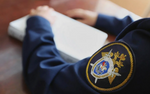 В Хабаровском крае дали срок отцу, забившему поленом свою дочь