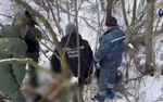Следователи из Петербурга нашли тело пропавшей женщины в лесу Ленобласти