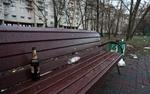 Дети из Петербурга убрали мусор вместо управляющей компании