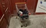 Найденные останки женщины в продуктовой тележке стали причиной возбуждения дела