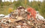 Прокуратура Петербурга потребовала убрать незаконную свалку в Приморском районе