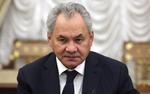 Шойгу напомнил Европе об уроках прошлого