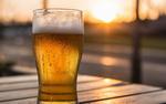 Пиво может стать причиной бесплодия