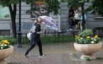МЧС предупредило петербуржцев о сильном дожде в воскресенье 