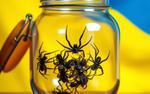 Украинские пауки в банке пожирают друг друга