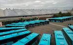Петербург получит 293 автобуса по программе финансовой аренды