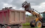 После проверки прокуратуры в Ленобласти ликвидировали незаконную свалку