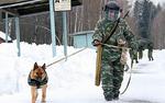 Призывникам разрешили служить вместе с обученными питомцами