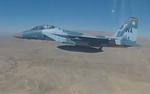 Египет, лишившись военной помощи США, теперь рассчитывает на Россию