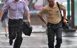 Почти 300 деревьев повалил "Святой Иуда" в Санкт-Петербурге