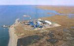 Экологи и защитники животных забраковали новый проект Эксона и Роснефти
