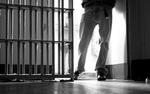 Партия «Яблоко» считает объявленную амнистию недостаточной