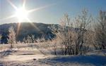 Зимнее солнцестояние: световой день в Москве продлится меньше 7ч.